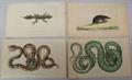 Lot 331 Image