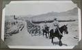 Lot 370 Image
