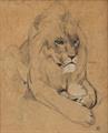 Lot 1 Image