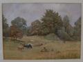 Lot 462 Image