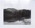 Lot 19 Image