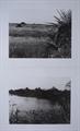 Lot 21 Image