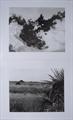 Lot 22 Image