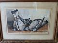 Lot 5 Image