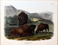Lot 2035 Image