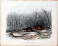 Lot 2036 Image