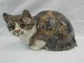 Lot 5 Image
