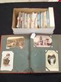 Lot 261 Image