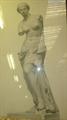 Lot 24 Image