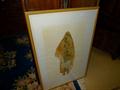 Lot 102 Image