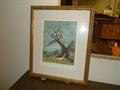 Lot 28 Image
