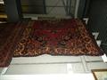 Lot 8 Image