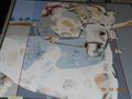 Lot 37 Image