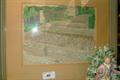 Lot 40 Image