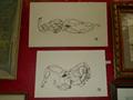 Lot 15 Image