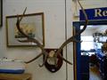 Lot 11 Image