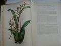 Lot 741 Image