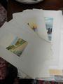 Lot 782 Image