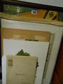 Lot 790 Image