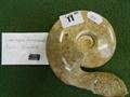 Lot 11 Image