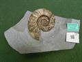 Lot 16 Image