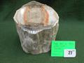 Lot 27 Image