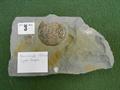 Lot 3 Image