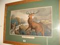 Lot 559 Image