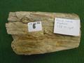 Lot 6 Image