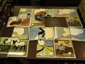 Lot 23 Image