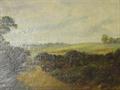 Lot 24 Image