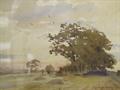 Lot 13 Image