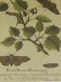 Lot 16 Image