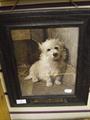 Lot 9 Image
