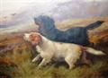 Lot 24 Image