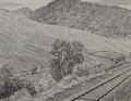 Lot 11 Image