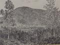 Lot 8 Image