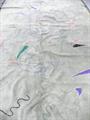 Lot 7 Image