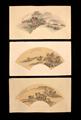 Lot 34 Image