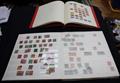 Lot 245 Image