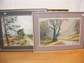 Lot 5 Image