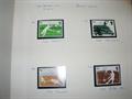 Lot 40 Image