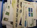 Lot 24 Image