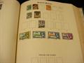 Lot 7 Image