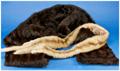 Lot 1111 Image