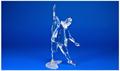 Lot 610 Image