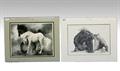 Lot 652 Image