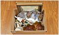 Lot 1243 Image