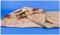 Lot 1208 Image