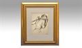 Lot 800 Image